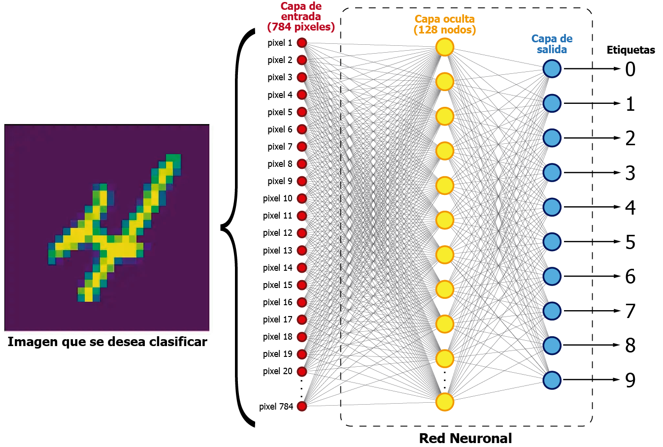 pytorch y mnist